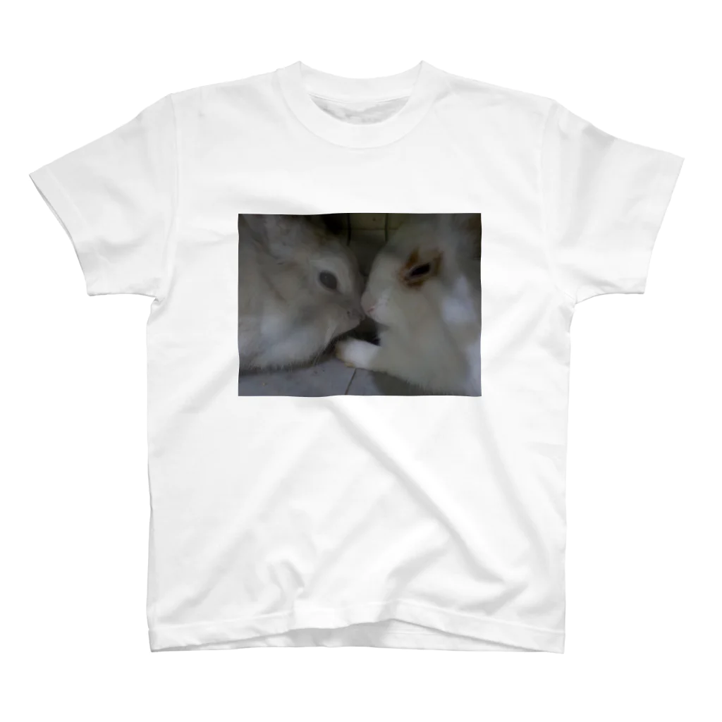 panchanphotoanimalsの仲良しうさぎ Regular Fit T-Shirt