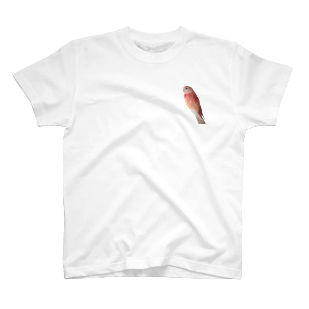 and_parrotのアキクサインコのTシャツ スタンダードTシャツ