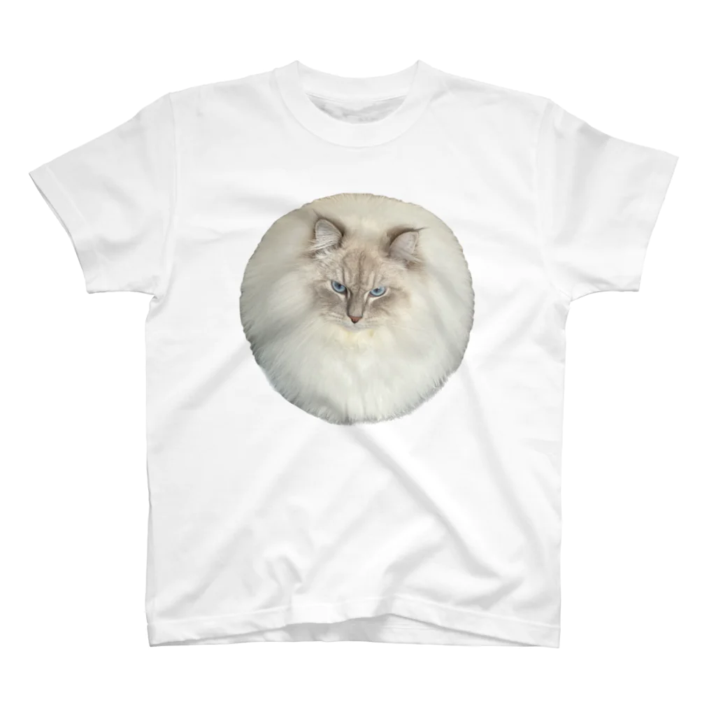 まんまる猫いれぶんのまんまる猫いれぶん スタンダードTシャツ