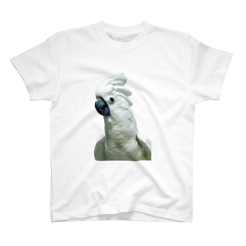and_parrotのオウムのタイハクオウム　鳥 スタンダードTシャツ