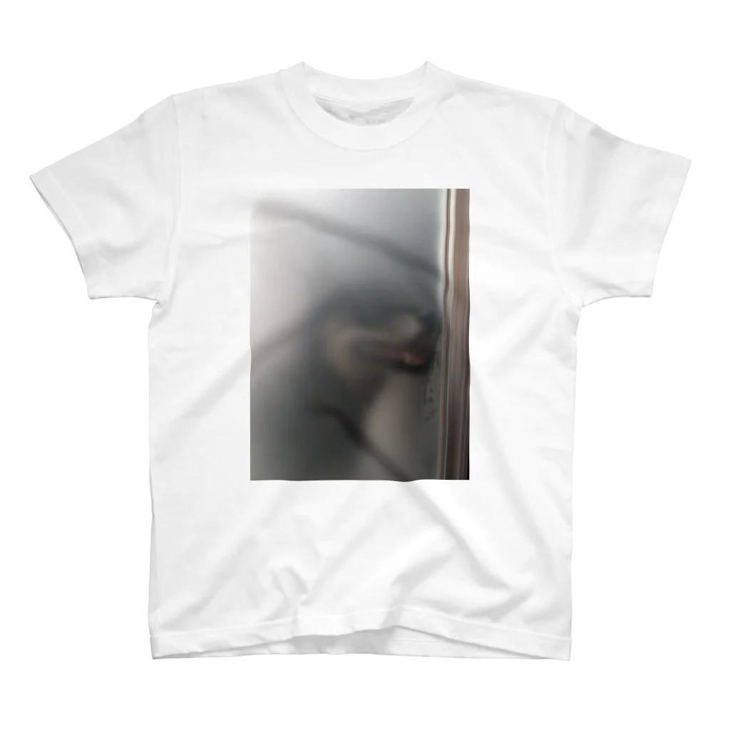 ぽ😃の磨りガラスからの視線 Regular Fit T-Shirt