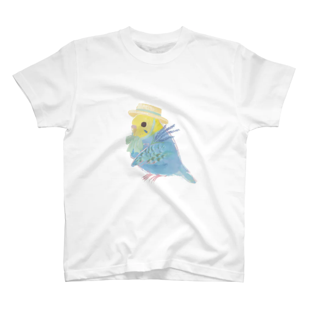 Colicoのセキセイインコレインボー スタンダードTシャツ