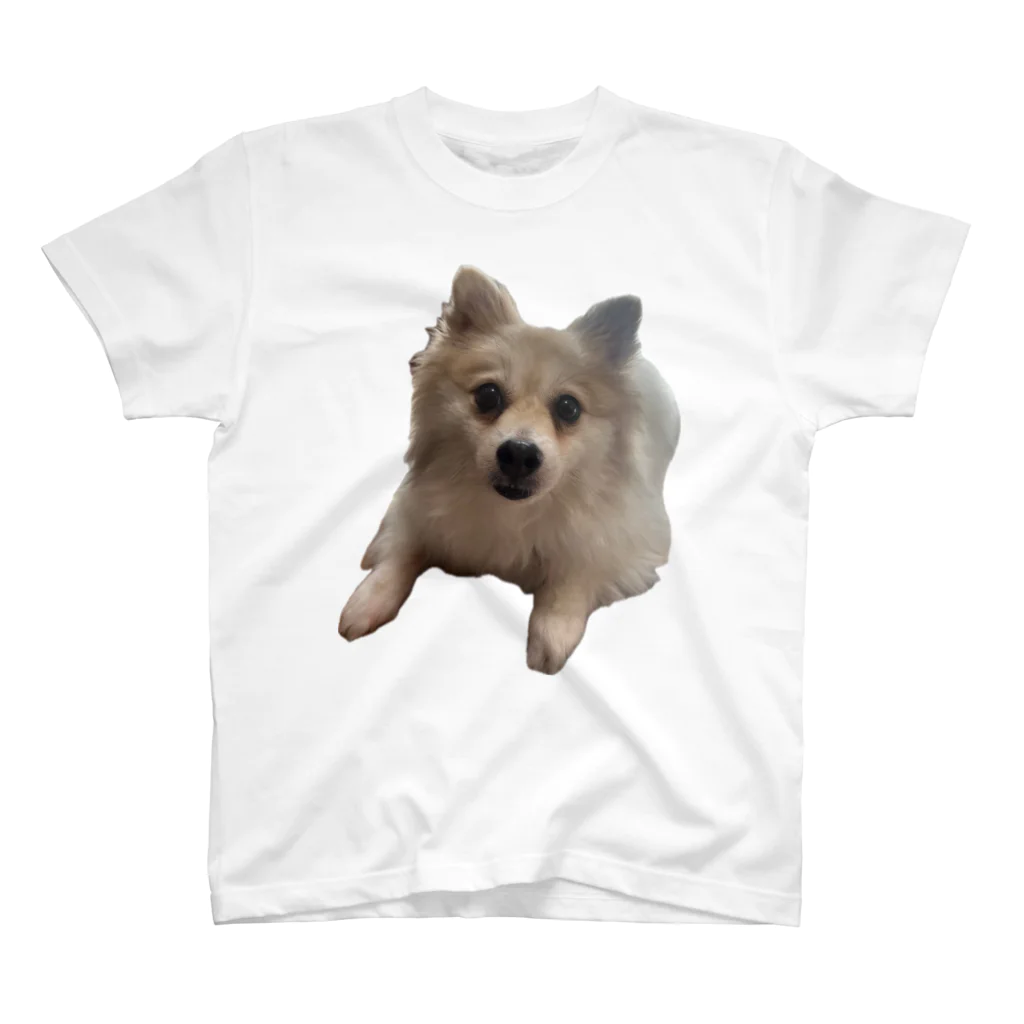 DACHSHUNDenpのツムツムT2 スタンダードTシャツ