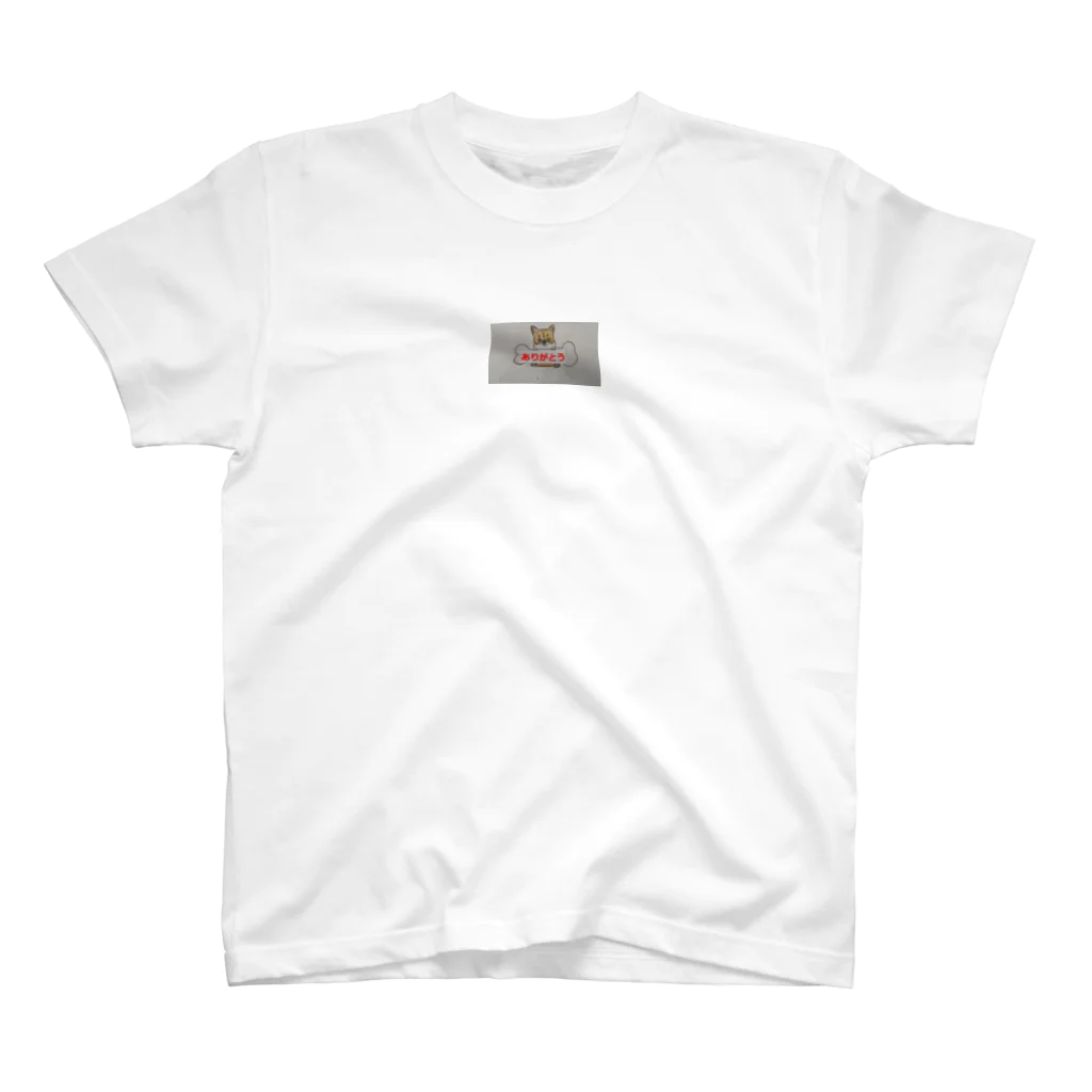 iwaminamiの心を伝えるありがとう Regular Fit T-Shirt