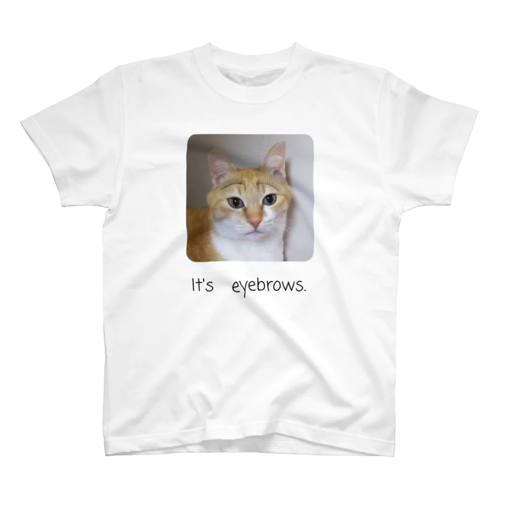 3dogs_1catの眉毛猫 Regular Fit T-Shirt
