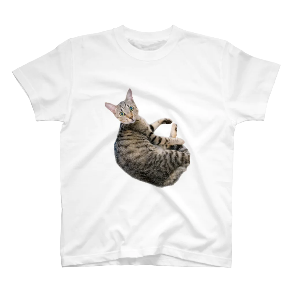 Emma y Linusのエマ　キジトラ　猫 スタンダードTシャツ