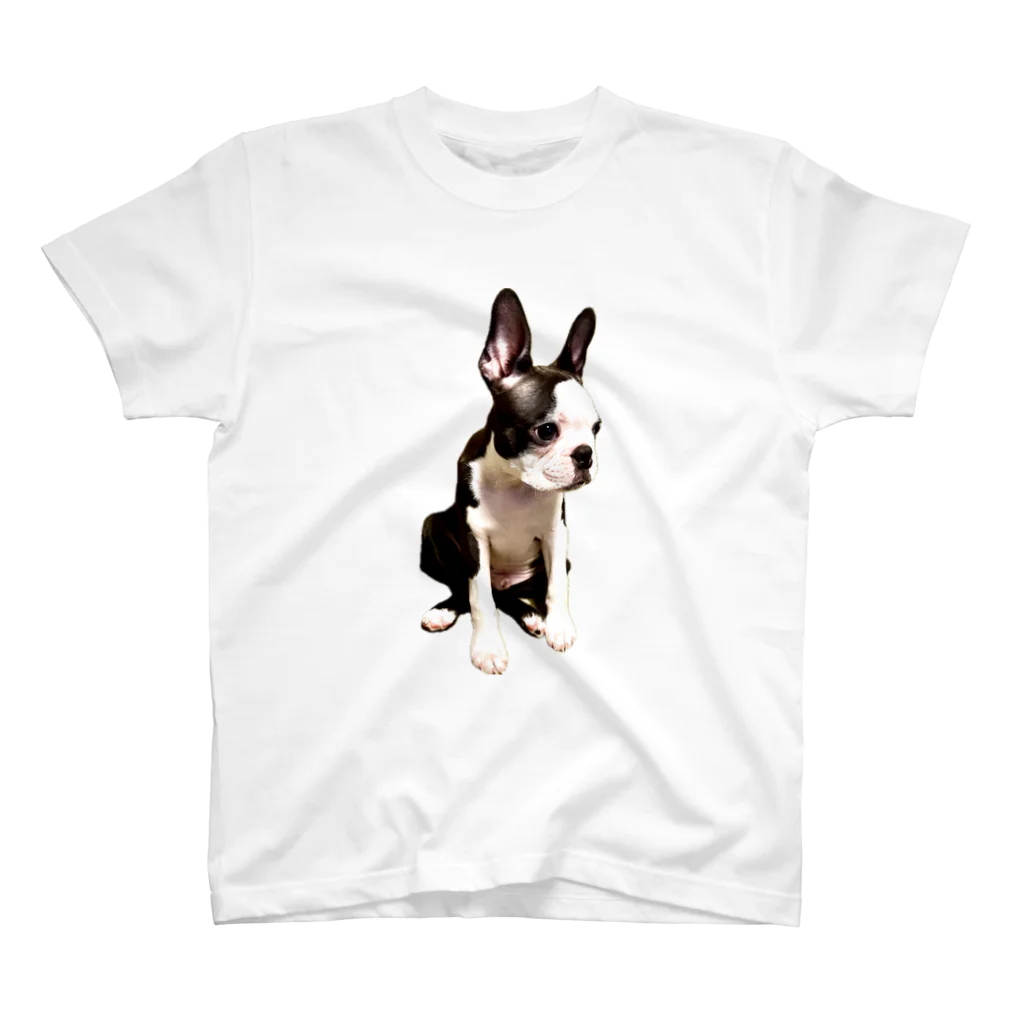 Komugi_bostonterrierのボステリのこむぎ Regular Fit T-Shirt