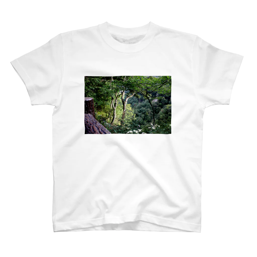 RyoY_ArtWorks_Galleryの傾斜に咲き誇る花 Regular Fit T-Shirt
