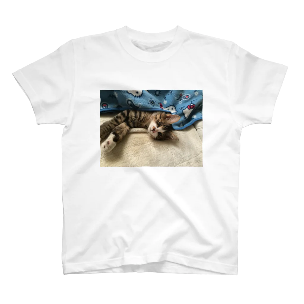 camel11のマル猫 Regular Fit T-Shirt