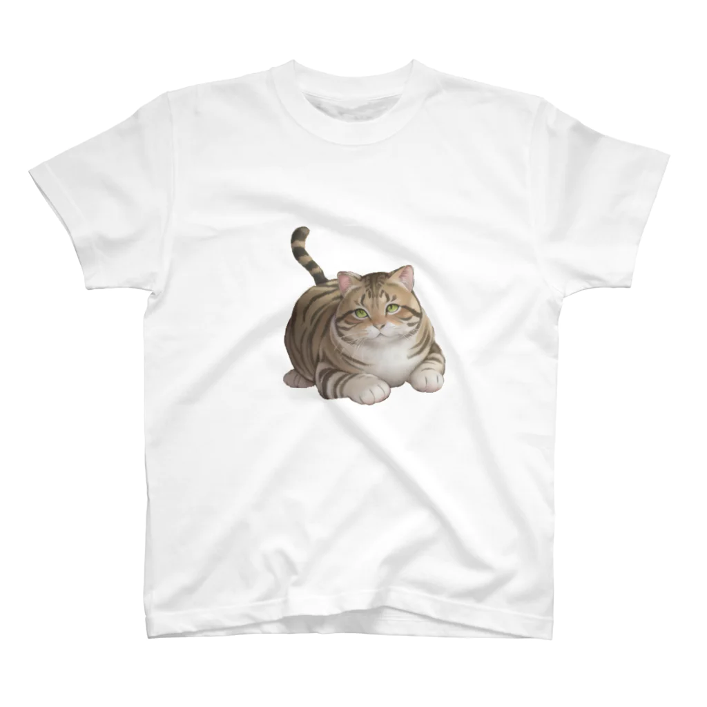 Tabby-catのもふもふとらねこ スタンダードTシャツ