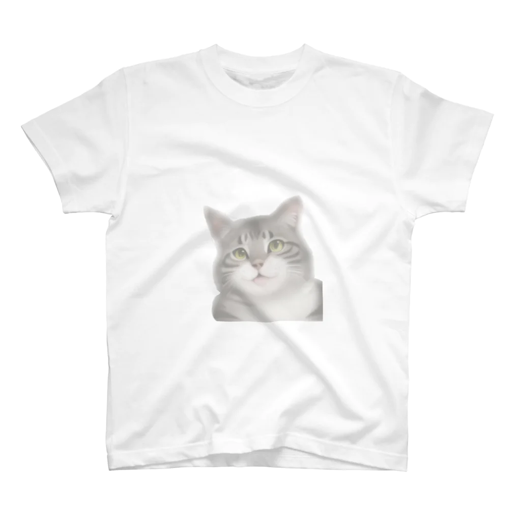 Tabby-catのふんわりとらねこ スタンダードTシャツ