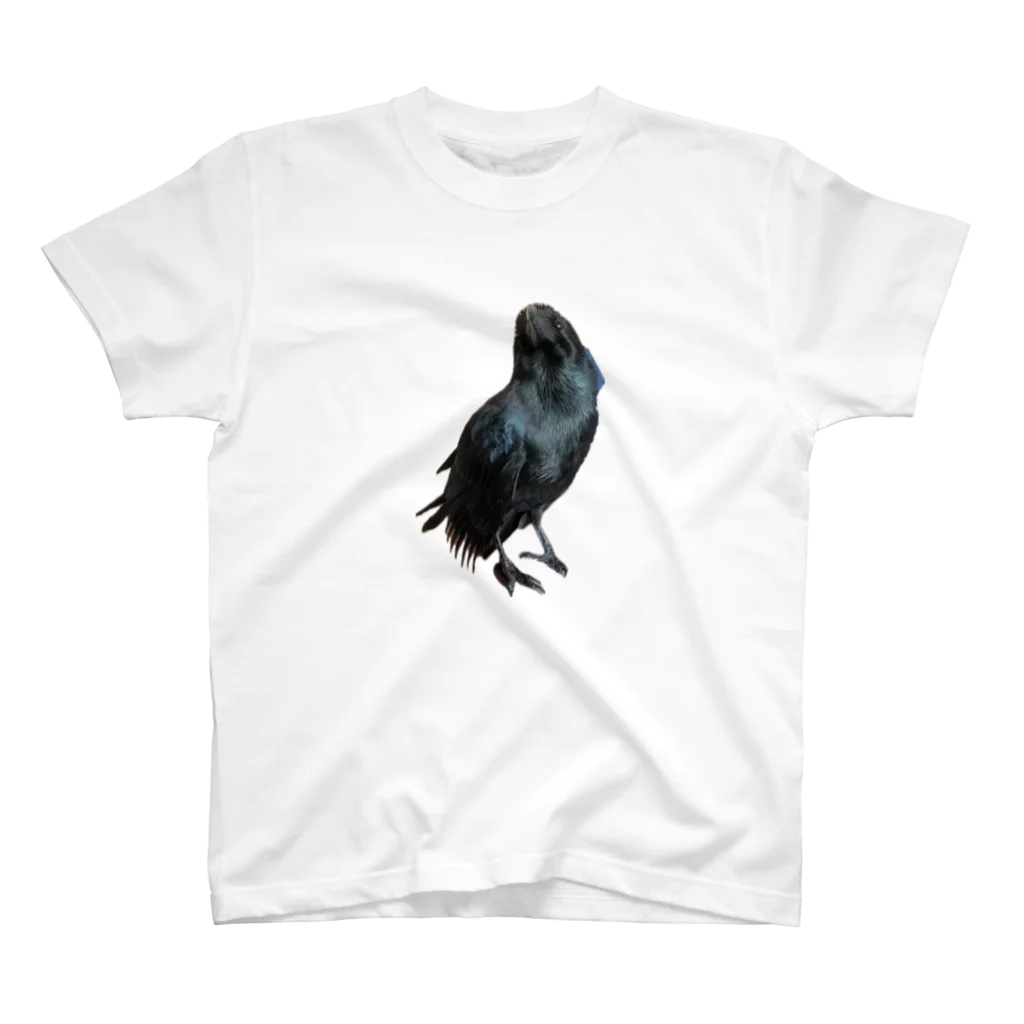 karasunikkiののどモコモコでかわいいカラスのハッピー スタンダードTシャツ