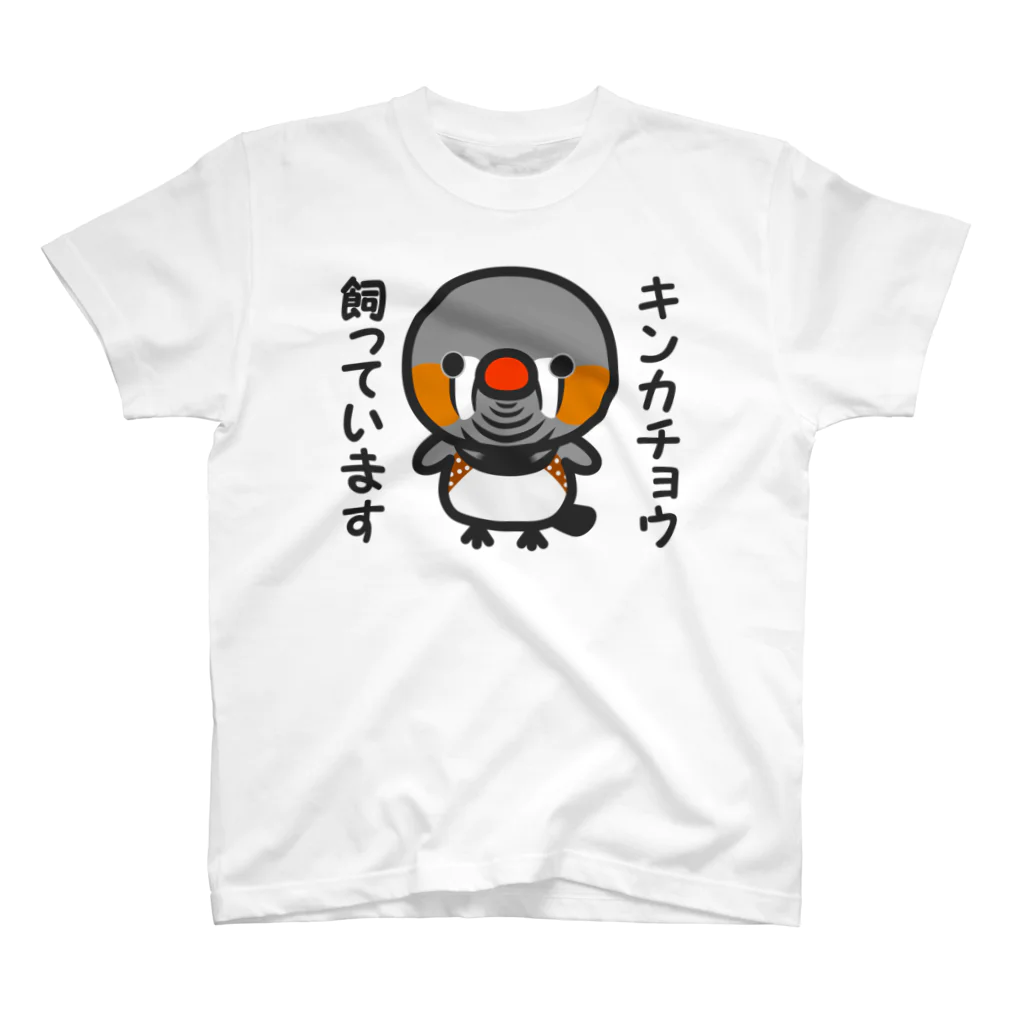 いんこ屋堂のキンカチョウ飼っています（オス） スタンダードTシャツ