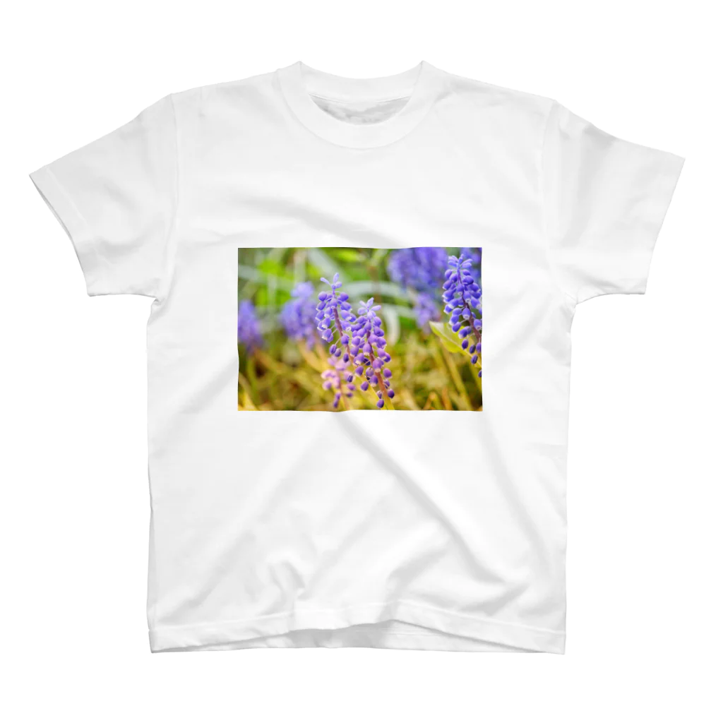 気まぐれ雪だるまのお花の写真 Regular Fit T-Shirt