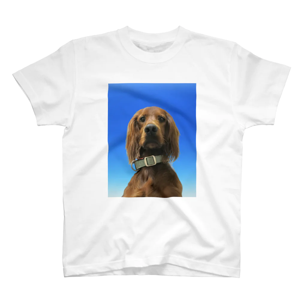 tanishi_samurai002の証明写真犬 Regular Fit T-Shirt