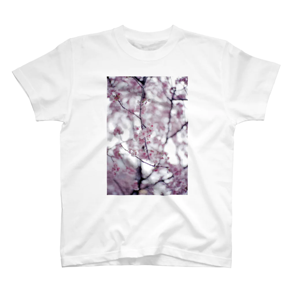 パスだよのsakura スタンダードTシャツ