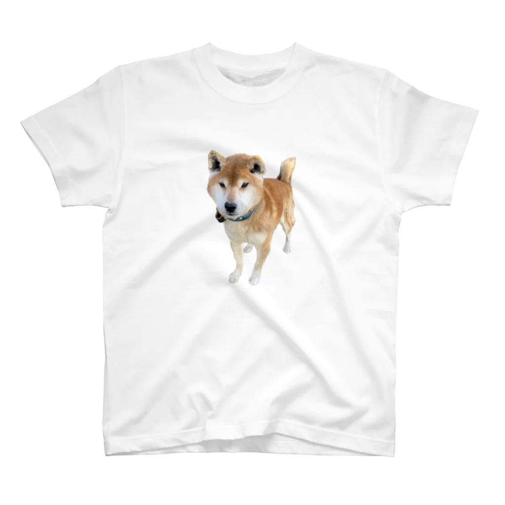 高速道路屋さんのツリ目犬 スタンダードTシャツ