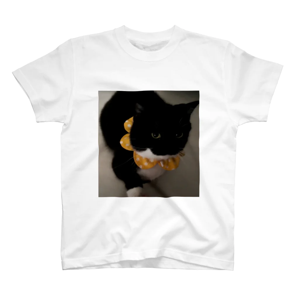 Uni_fan_harajukuのかわいい猫のデザイン Regular Fit T-Shirt