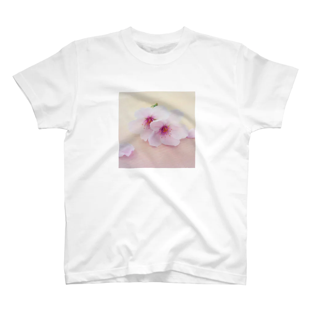 cherryblossomの桜(ピンク) スタンダードTシャツ