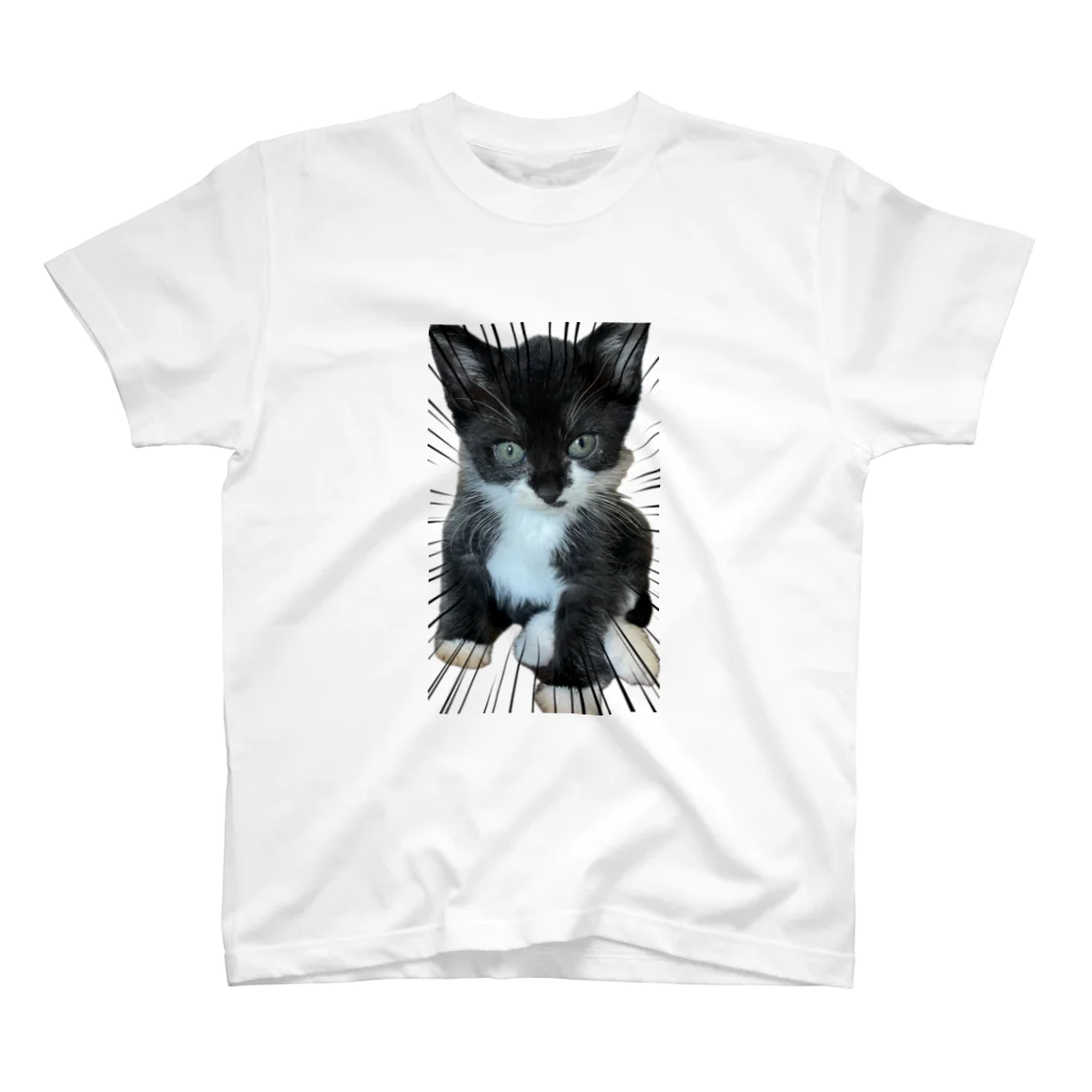 猫のひとりごとのハチワレてない末っ子くつした猫 スタンダードTシャツ