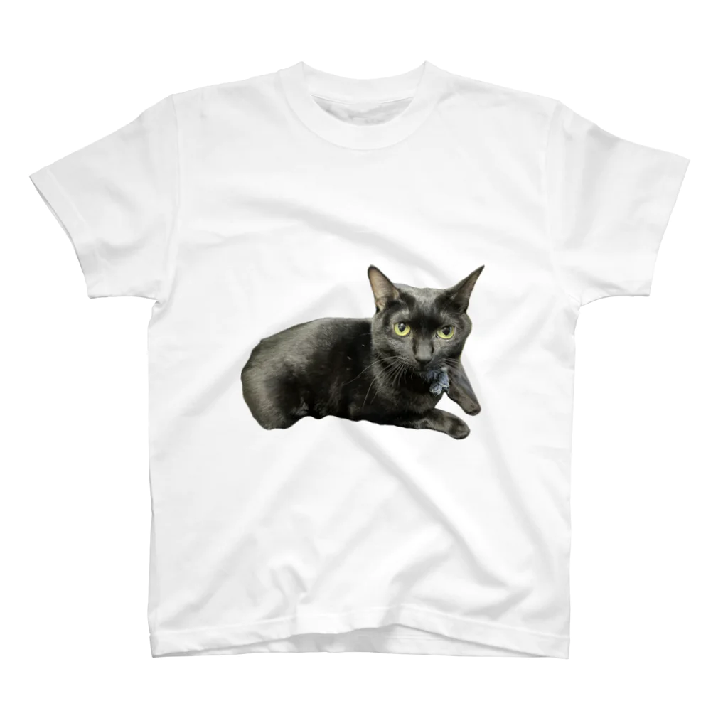 猫和尚のＴシャツ屋さんのせんべい君 Regular Fit T-Shirt