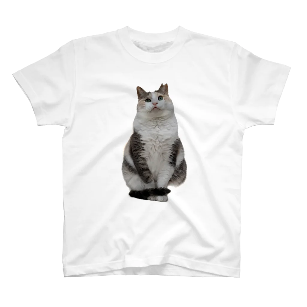 犬猫サロンぷらすのサユリちゃん Regular Fit T-Shirt