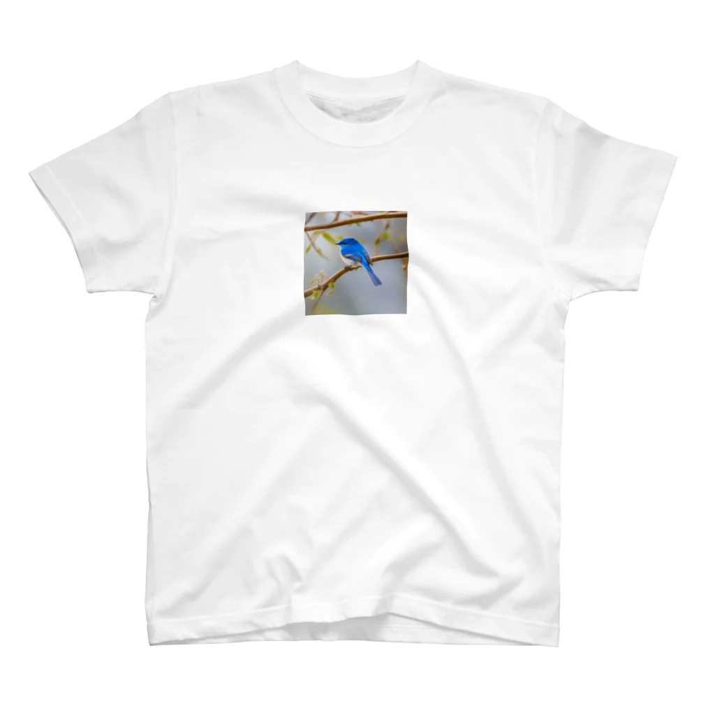 DROOMの自然と蒼い鳥 スタンダードTシャツ