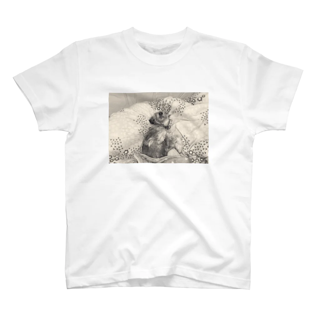 hippoのミニシュナかごめは布団も好き Regular Fit T-Shirt