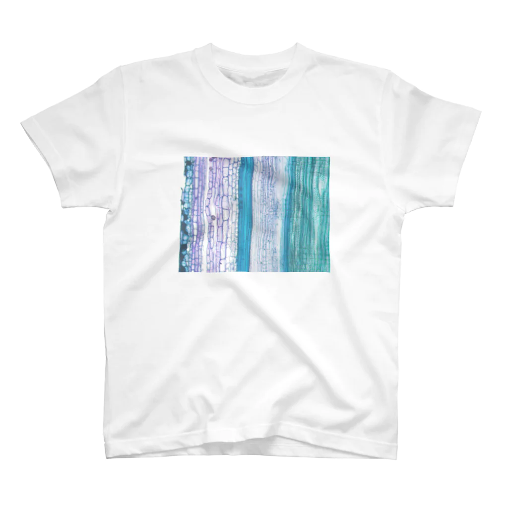 WOODANATOMYのToluidine blue 1 スタンダードTシャツ