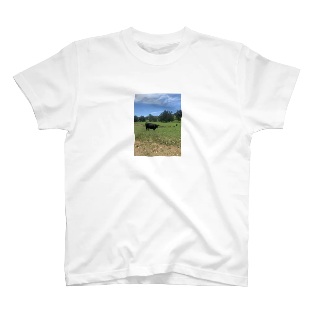 YASUE ABE JPのFarm Regular Fit T-Shirt