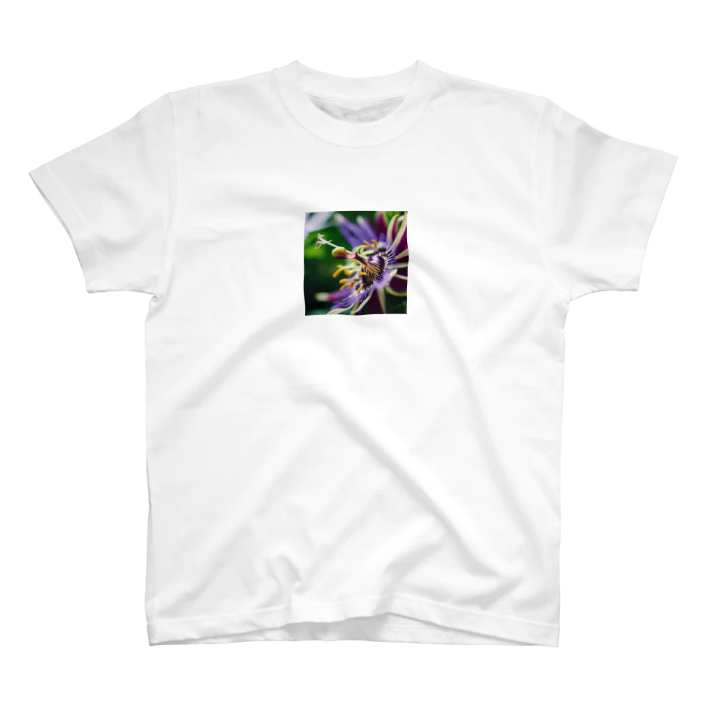 neat55のシャクヤクの豪華な花 Regular Fit T-Shirt