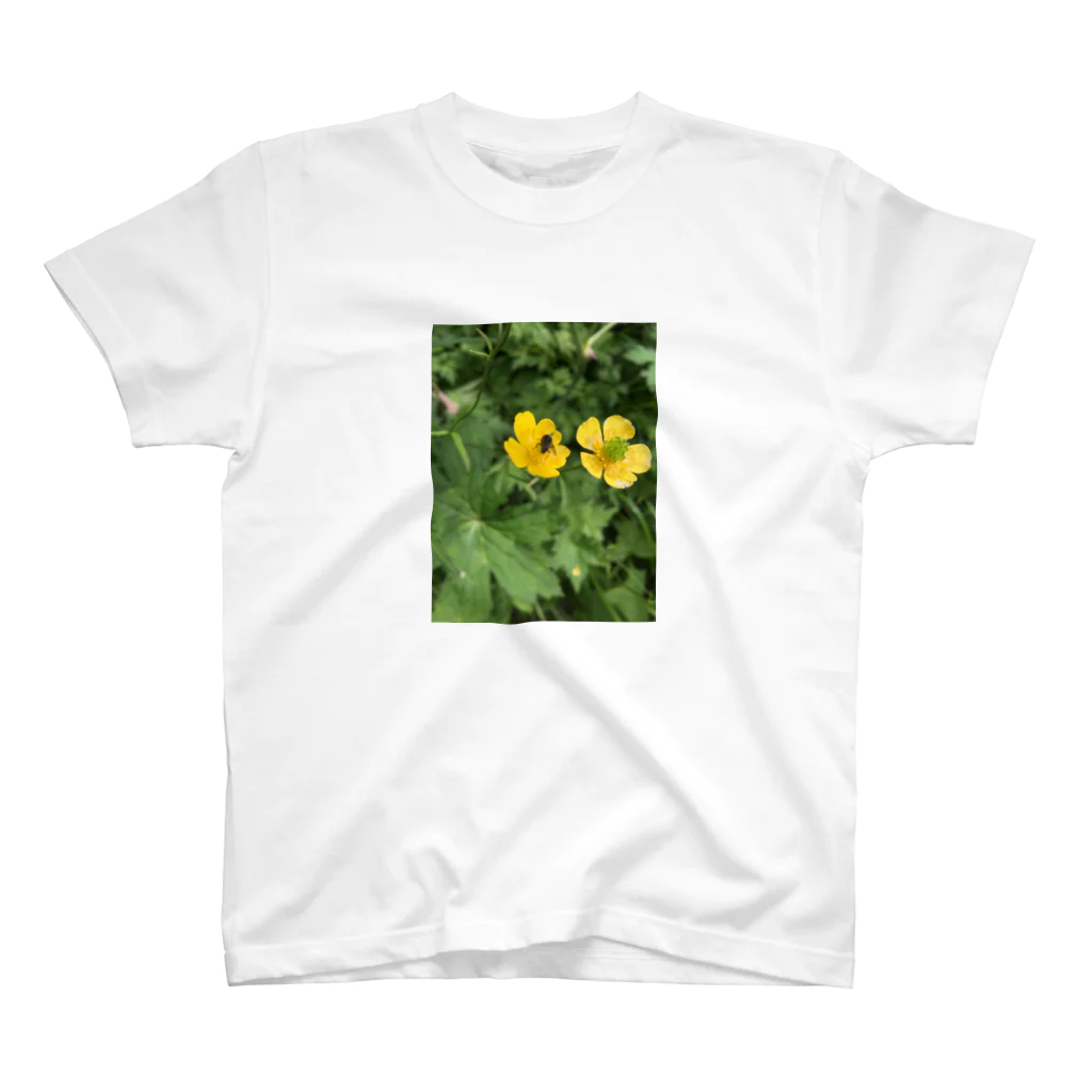 kujiradonirukadonのなんかの花とハチ スタンダードTシャツ