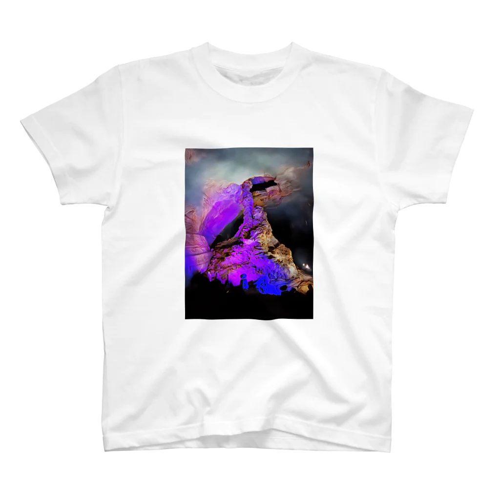 meyl29の紫の洞窟 スタンダードTシャツ