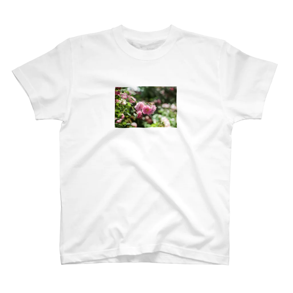 サニー プーのPINK ROSE  スタンダードTシャツ