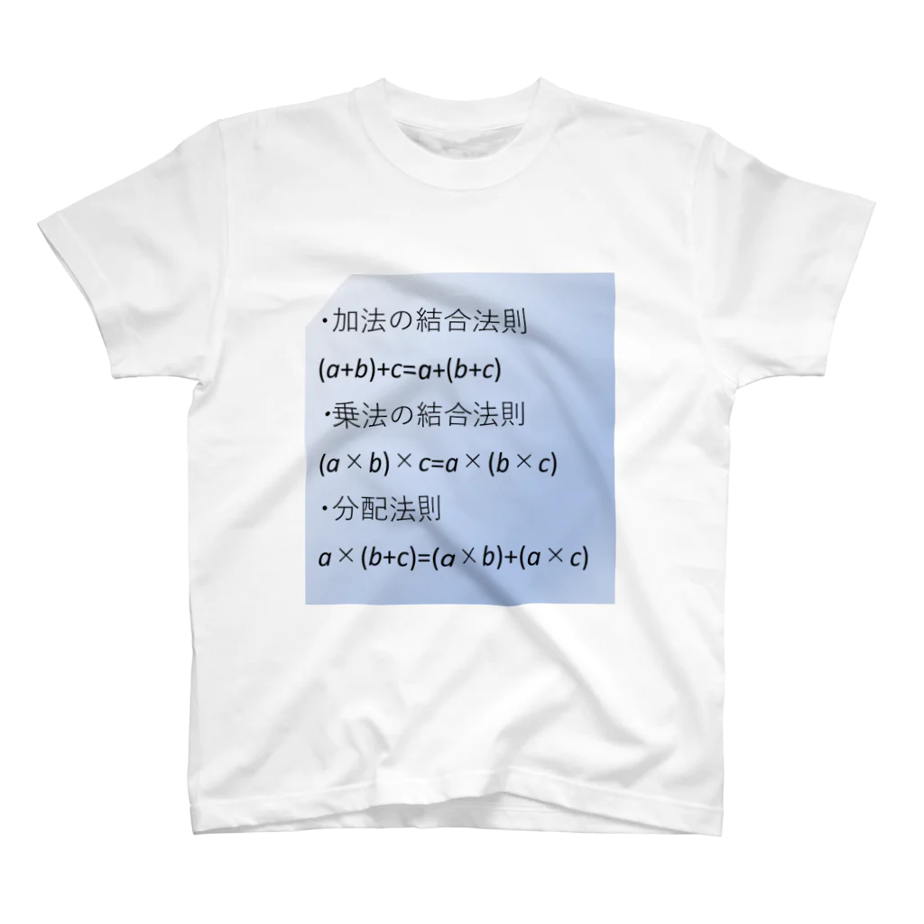 samohan0121の数学の公式をアイテム化　第2弾 Regular Fit T-Shirt