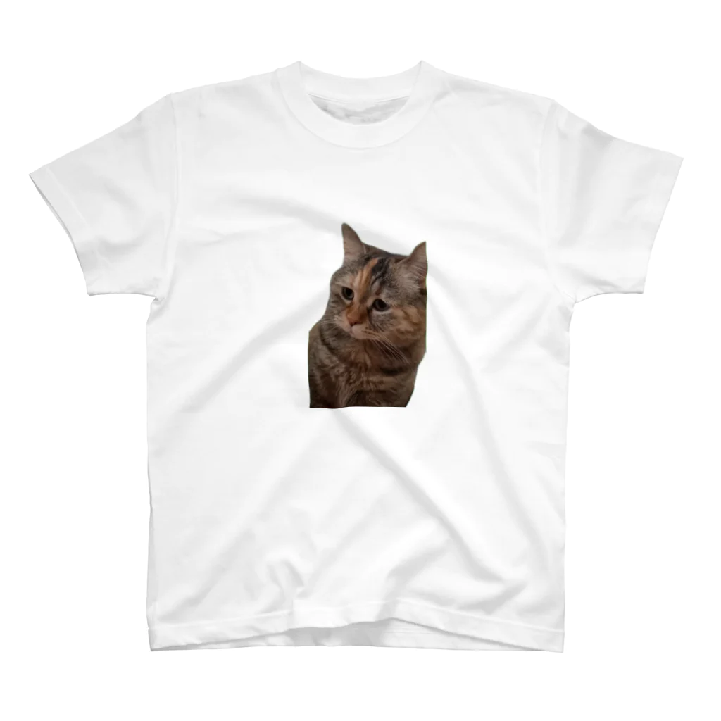 猫ミームグッズの【猫ミーム】叱られる猫 スタンダードTシャツ