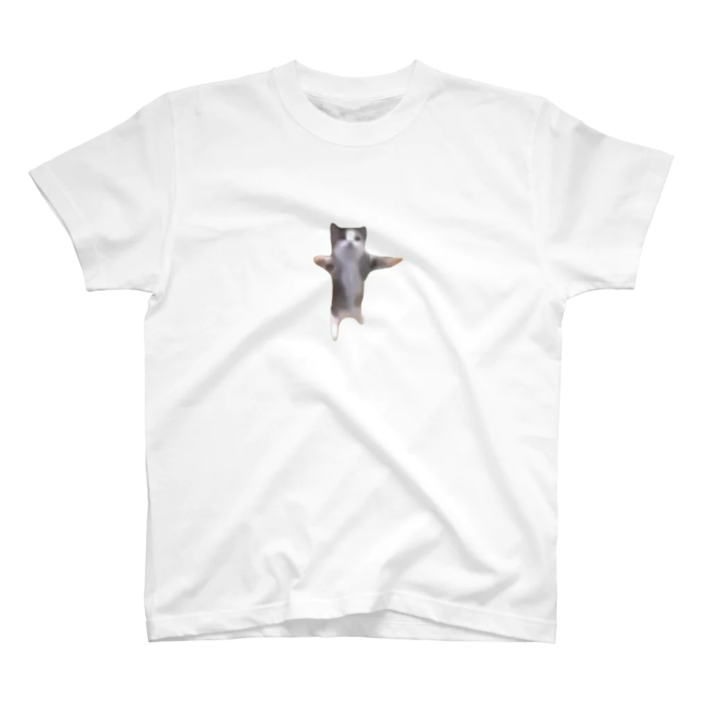 猫ミームグッズの【猫ミーム】Happy Happy Cat Regular Fit T-Shirt