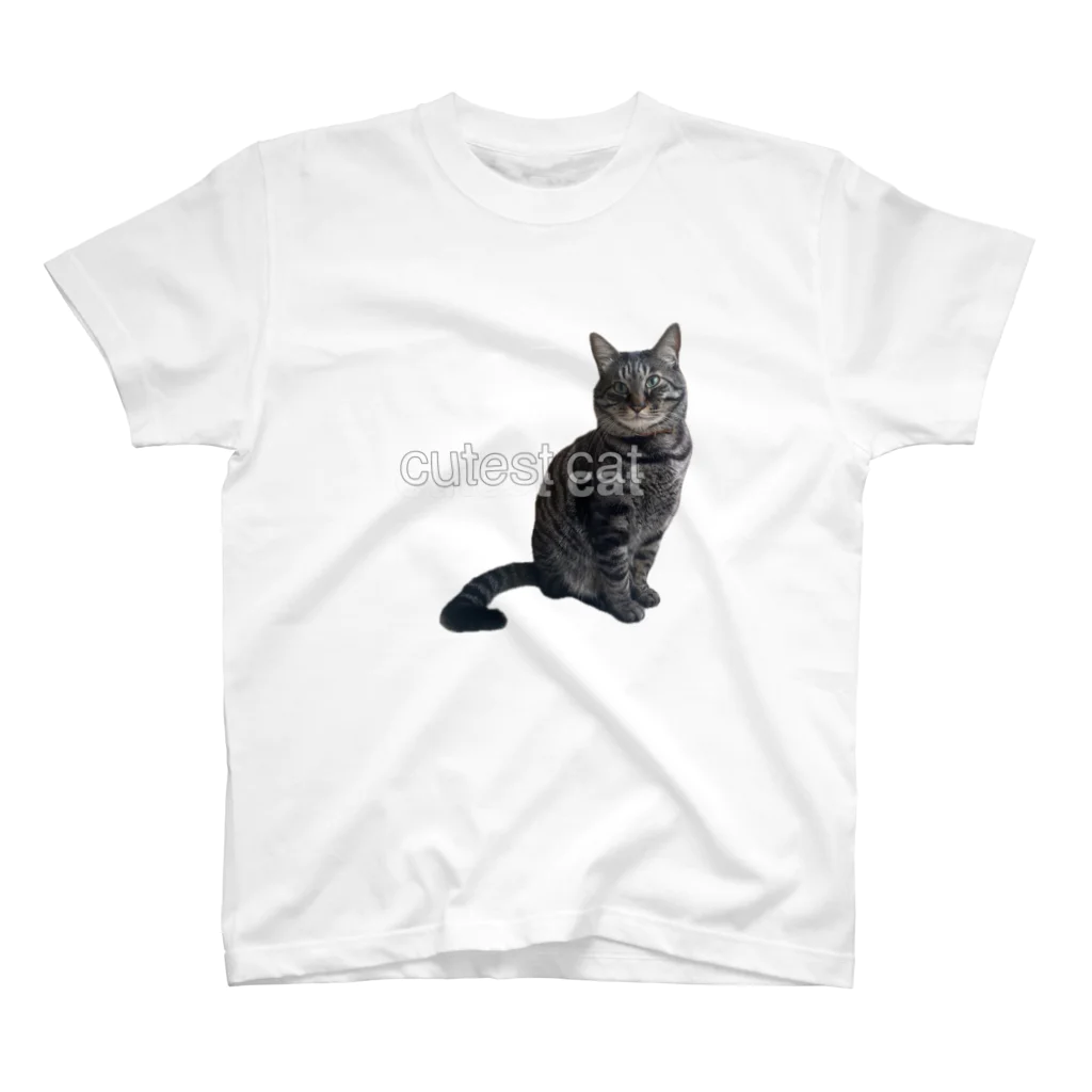 保護猫しじみのキリッ　保護猫しじみ スタンダードTシャツ