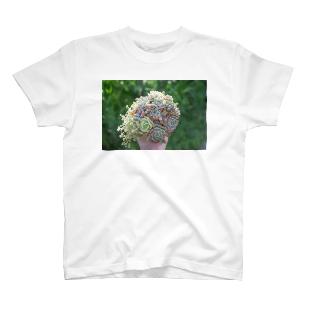 LittlebeeGardenのsucculent2 スタンダードTシャツ