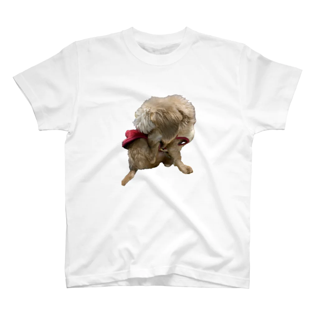 Ruice-Iceの犬　ガジガジ Regular Fit T-Shirt