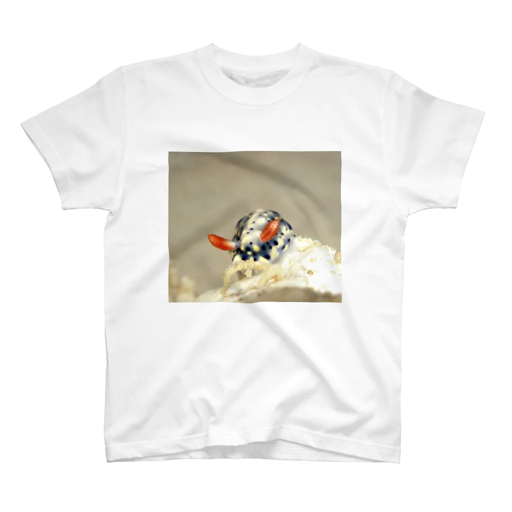 海の生き物雑貨店　うみちゅうなの海中写真2　ホシゾラウミウシ Regular Fit T-Shirt
