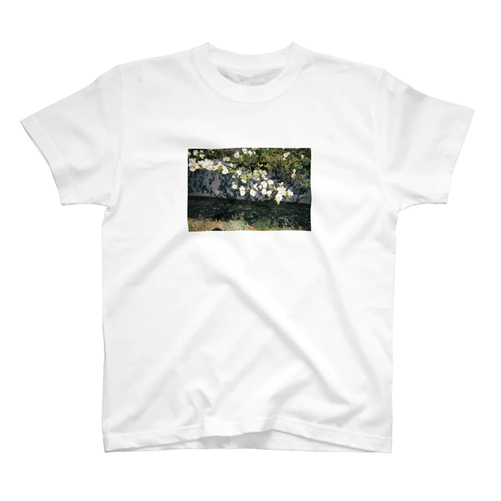 Tataのhome town 1 スタンダードTシャツ