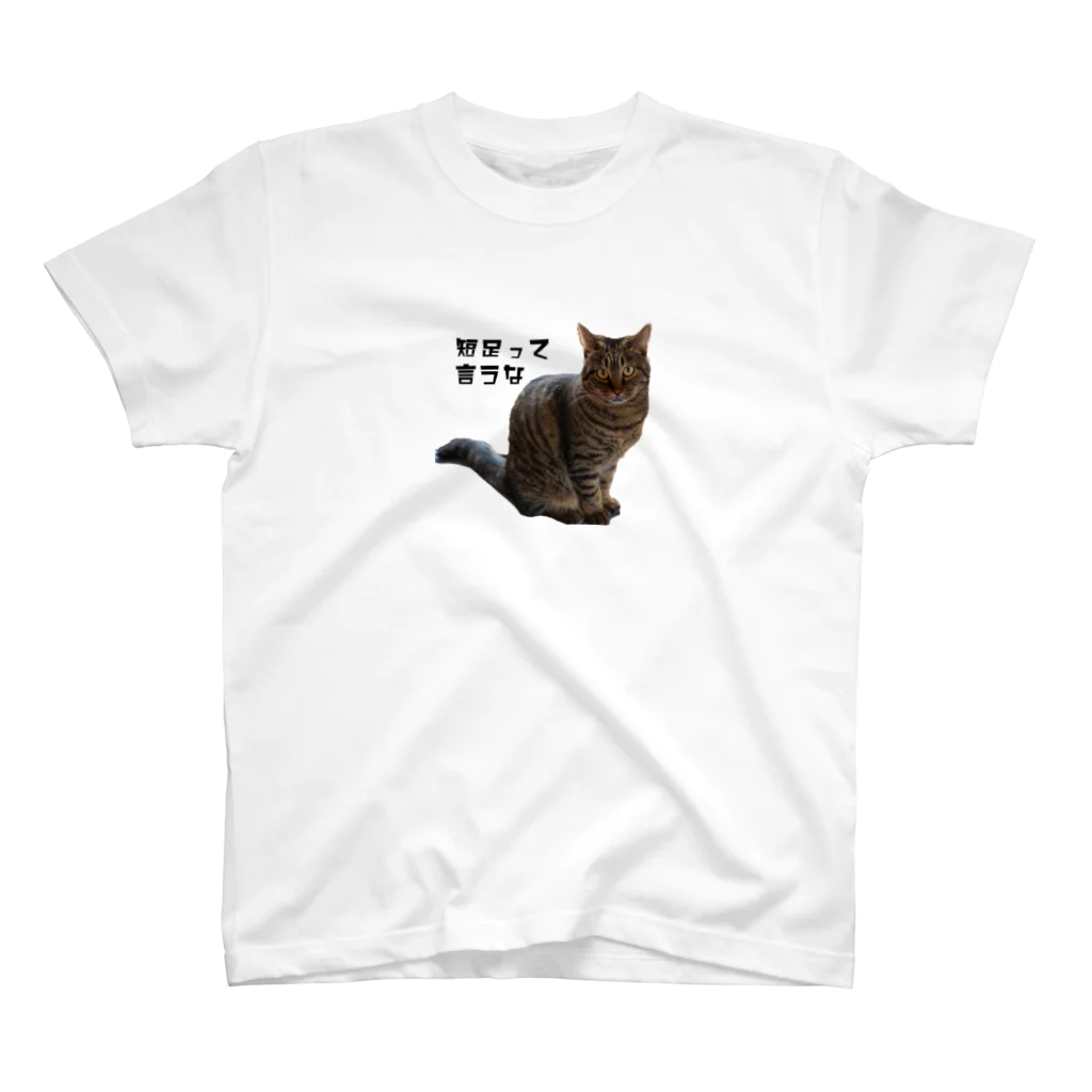 chiharu_777の短足猫ちゃん スタンダードTシャツ