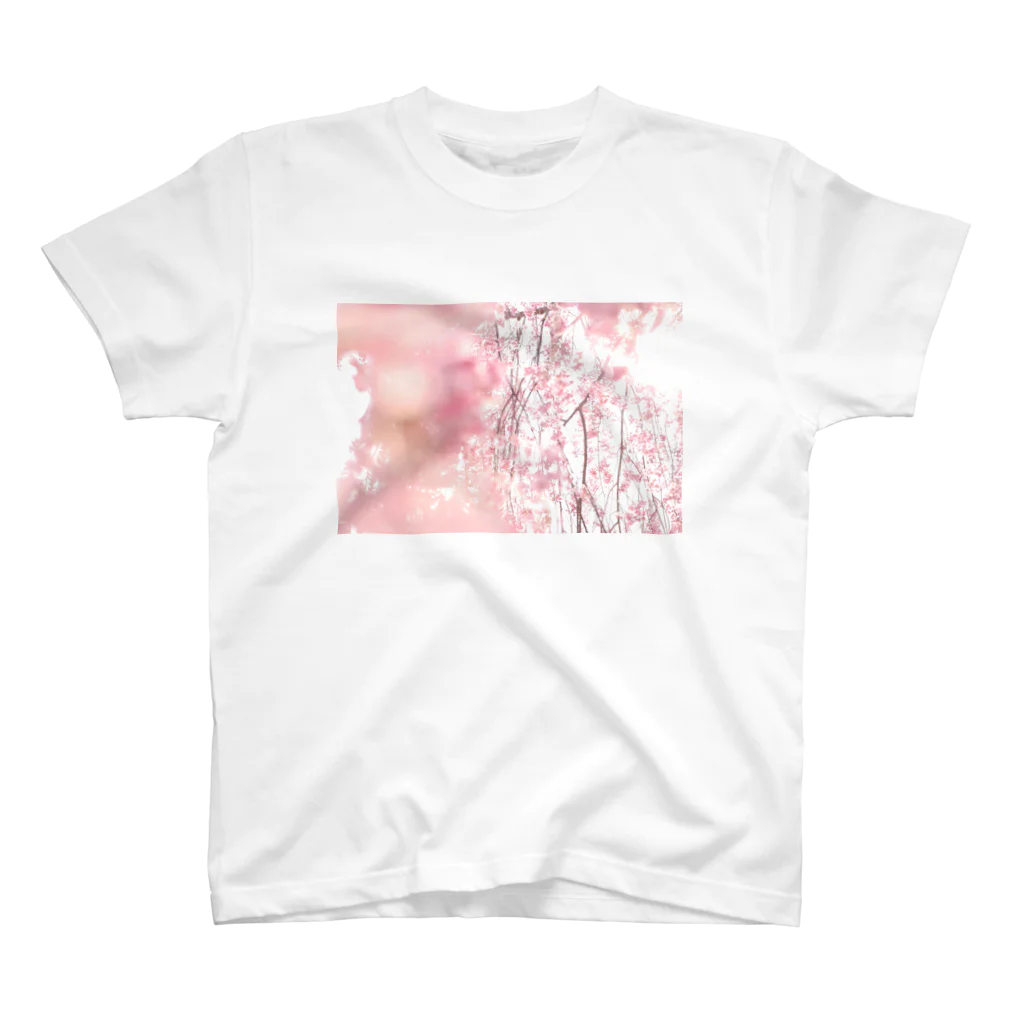 komuronaokoの上田城の桜 スタンダードTシャツ