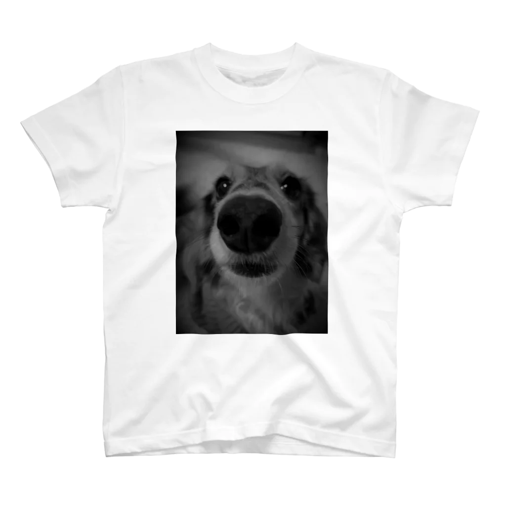 犬、猫　プリントの鼻ﾃﾞｶわんこ スタンダードTシャツ