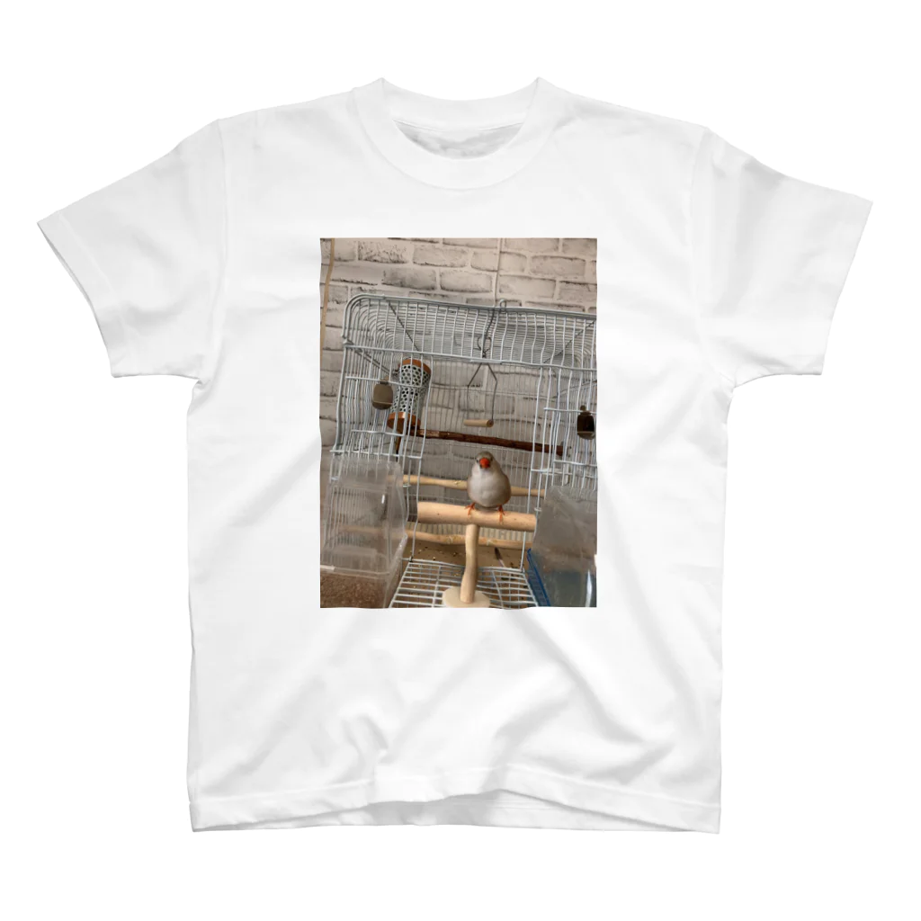 小鳥屋の錦華鳥の華ちゃんグッズ Regular Fit T-Shirt