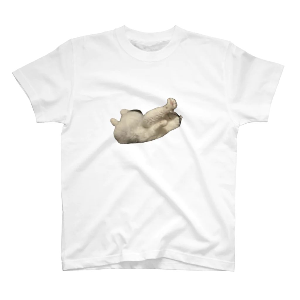駐車場の猫寝 Regular Fit T-Shirt