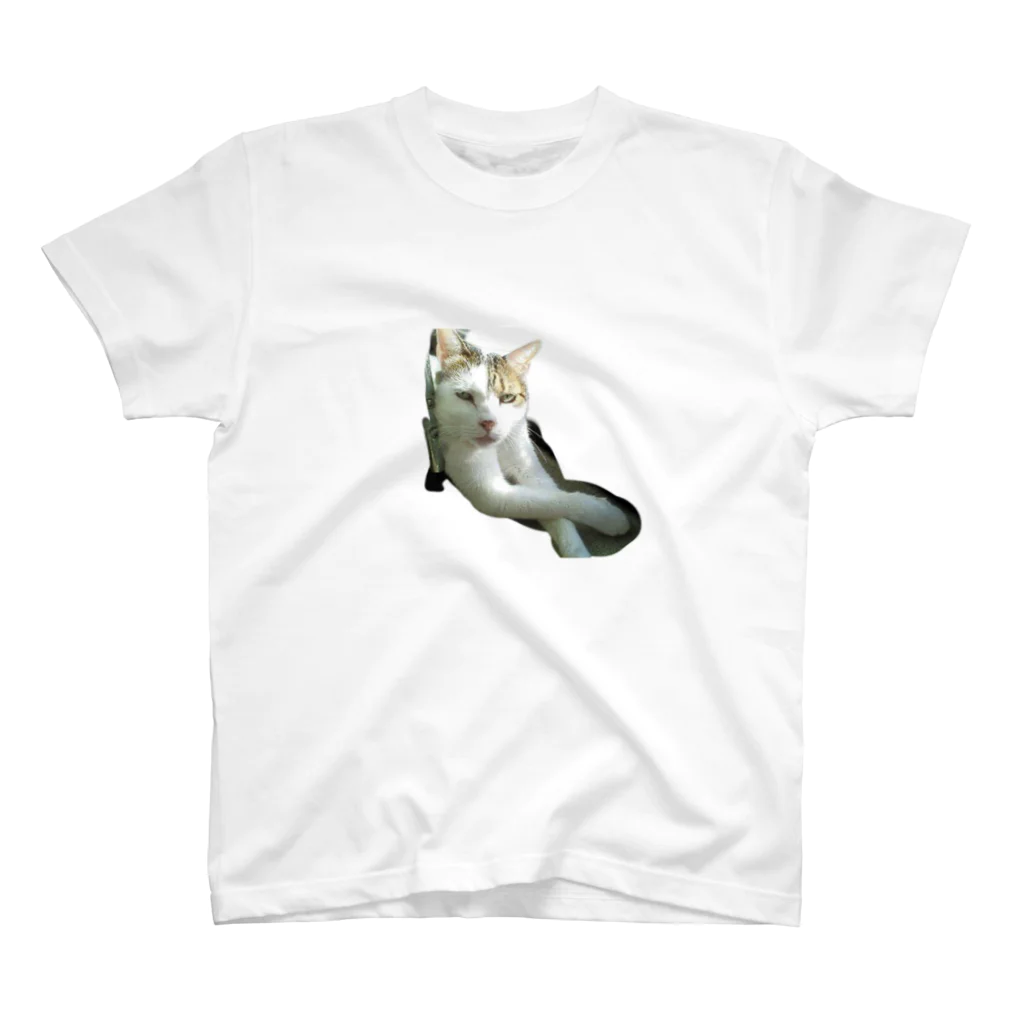 こつぶらんどの手長ねこ族まいちゃん Regular Fit T-Shirt