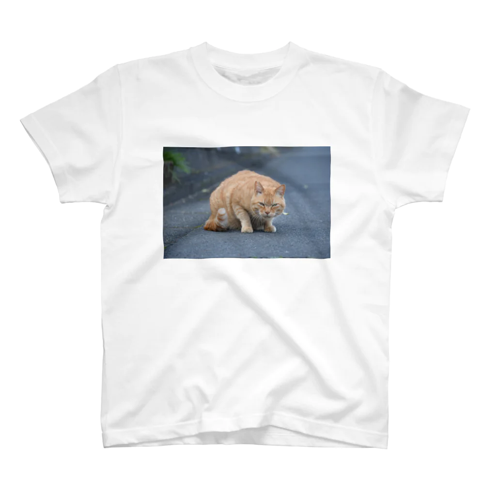 keosyzの睨む猫 Regular Fit T-Shirt