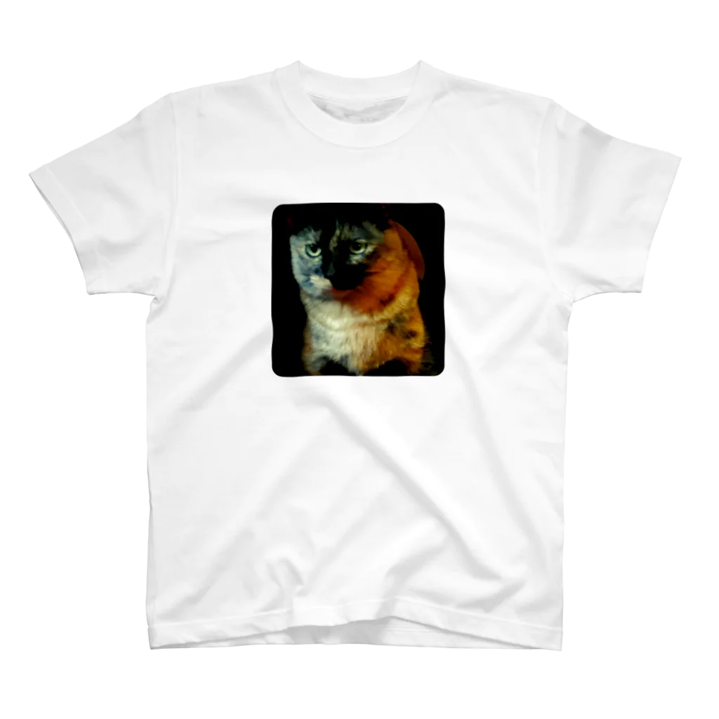 おむつ猫とびちゃんのぢっとおやつを見る猫 スタンダードTシャツ